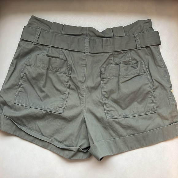 LOFT NWOT shorts- size 0, cuffed/pleated, sage green, gold details, d-ring belt - Picture 3 of 4